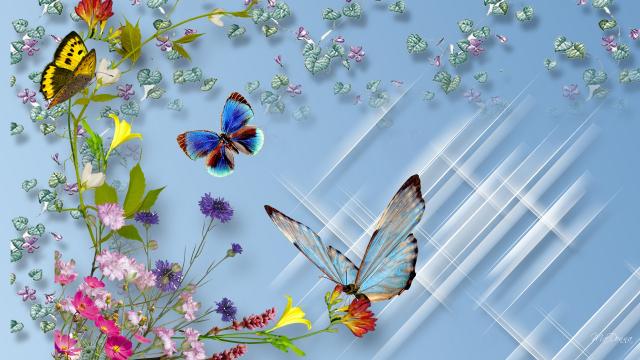 flower-and-butterfly-picture-wallpaper-9tzc10.jpg